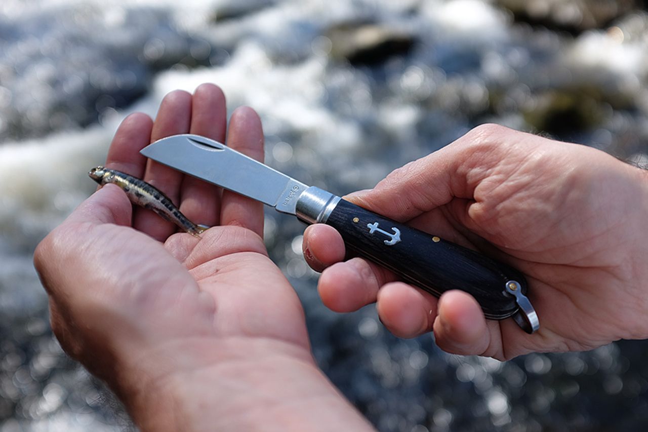 Traditional pocket knife 'Breizh', stamina wood handle Best Sellers